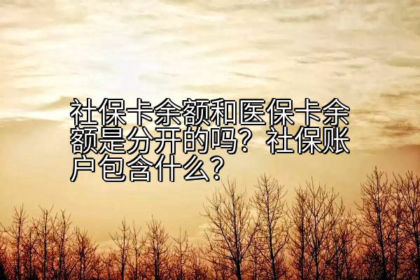 社保卡余额和医保卡余额是分开的吗？社保账户包含什么？