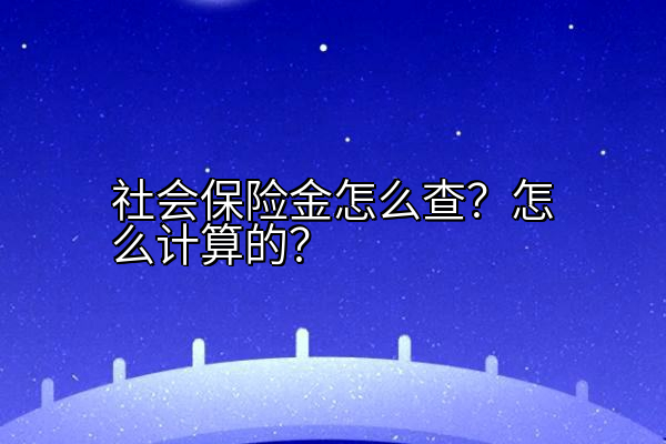 社会保险金怎么查？怎么计算的？