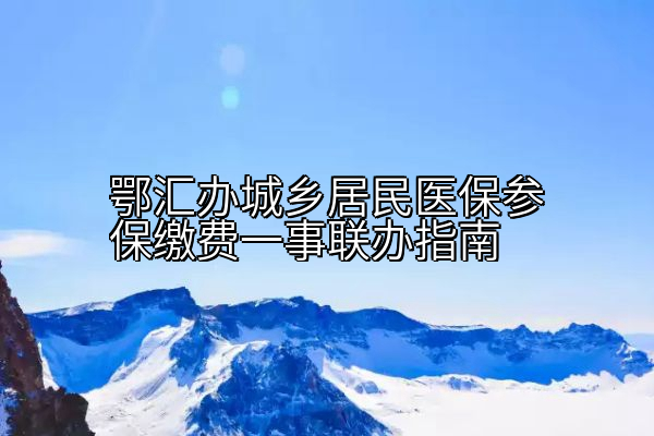 鄂汇办城乡居民医保参保缴费一事联办指南