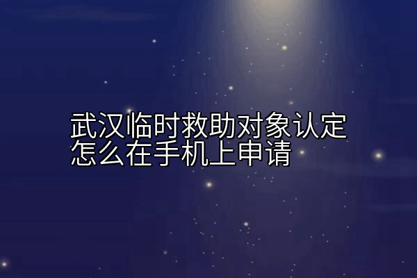 武汉临时救助对象认定怎么在手机上申请