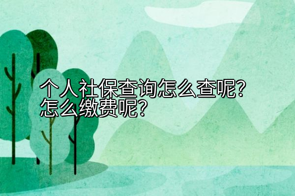 个人社保查询怎么查呢？怎么缴费呢？