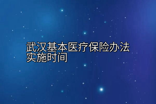 武汉基本医疗保险办法实施时间