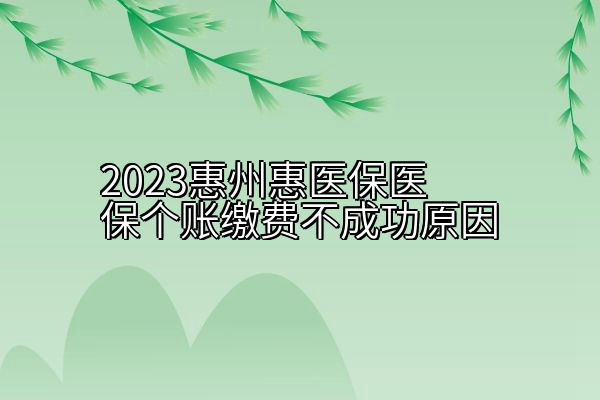 2023惠州惠医保医保个账缴费不成功原因