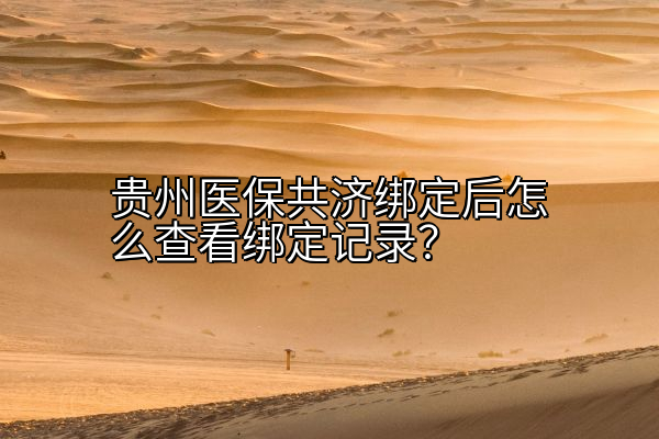 贵州医保共济绑定后怎么查看绑定记录？