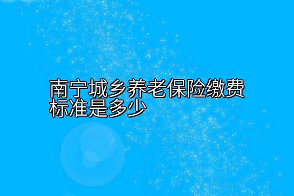 南宁城乡养老保险缴费标准是多少