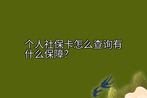 个人社保卡怎么查询有什么保障？