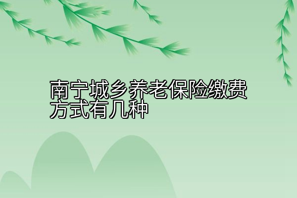 南宁城乡养老保险缴费方式有几种