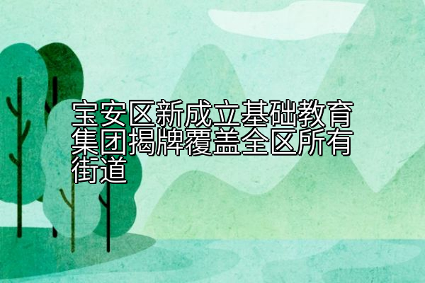 宝安区新成立基础教育集团揭牌覆盖全区所有街道