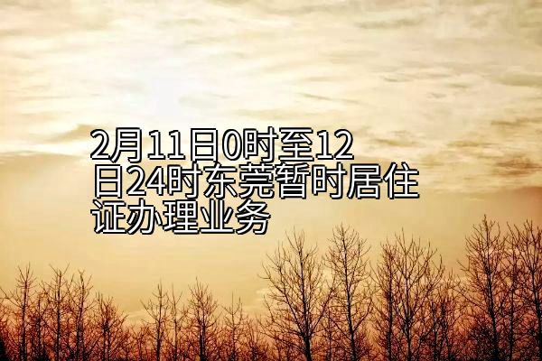 2月11日0时至12日24时东莞暂时居住证办理业务