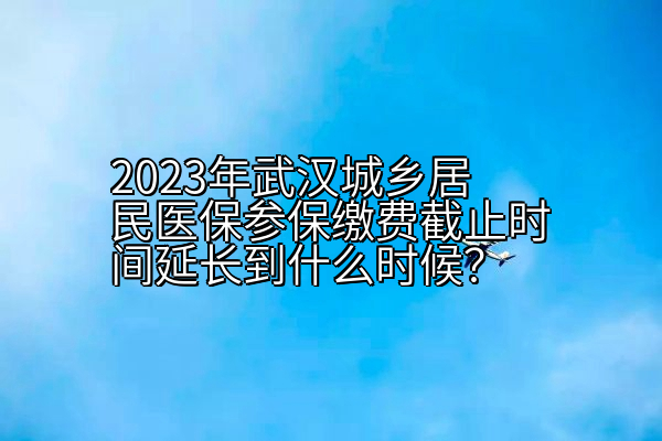 2023年武汉城乡居民医保参保缴费截止时间延长到什么时候？