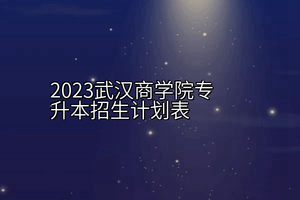 2023武汉商学院专升本招生计划表