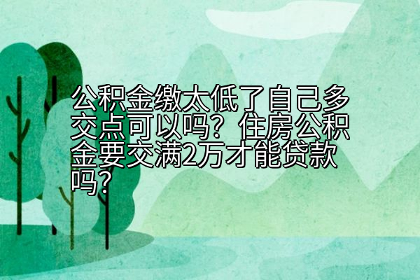 公积金缴太低了自己多交点可以吗？住房公积金要交满2万才能贷款吗？