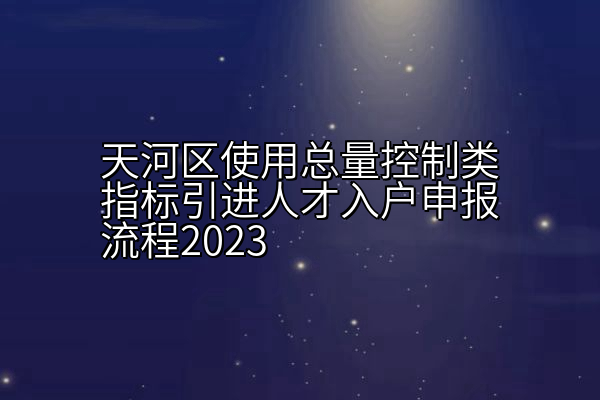 天河区使用总量控制类指标引进人才入户申报流程2023