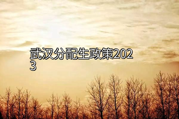 武汉分配生政策2023