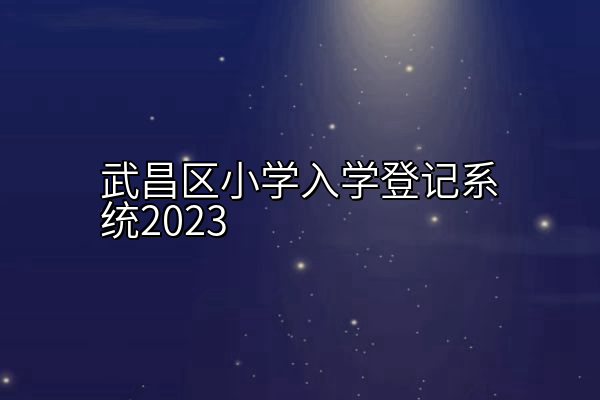 武昌区小学入学登记系统2023