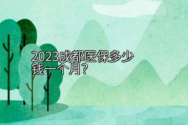 2023成都医保多少钱一个月？