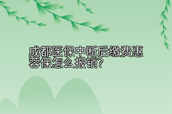 成都医保中断后缴费惠蓉保怎么报销？