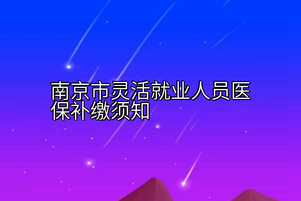 南京市灵活就业人员医保补缴须知