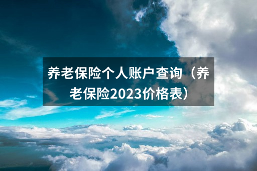 养老保险个人账户查询（养老保险2023价格表）