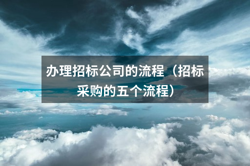 办理招标公司的流程（招标采购的五个流程）