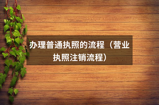 办理普通执照的流程（营业执照注销流程）