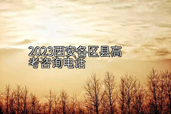 2023西安各区县高考咨询电话