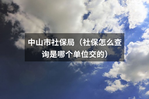 中山市社保局（社保怎么查询是哪个单位交的）