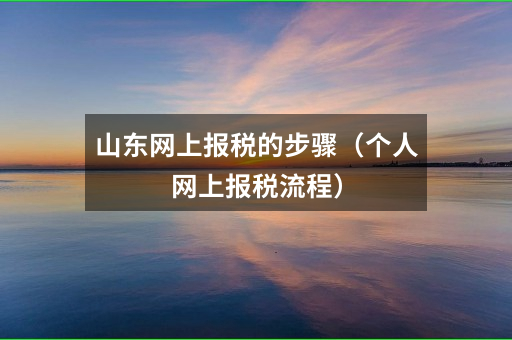 山东网上报税的步骤（个人网上报税流程）