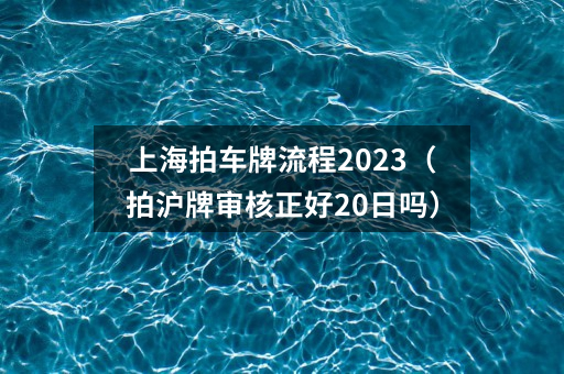 上海拍车牌流程2023（拍沪牌审核正好20日吗）