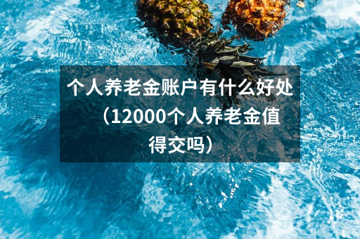 个人养老金账户有什么好处（12000个人养老金值得交吗）