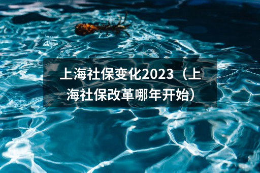 上海社保变化2023（上海社保改革哪年开始）