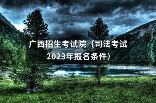 广西招生考试院（司法考试2023年报名条件）