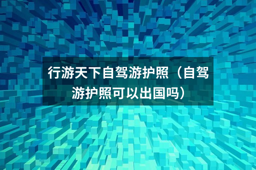 行游天下自驾游护照（自驾游护照可以出国吗）