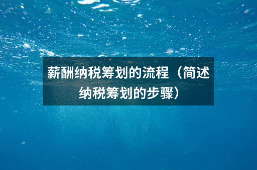 薪酬纳税筹划的流程（简述纳税筹划的步骤）