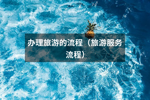 办理旅游的流程（旅游服务流程）