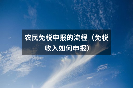 农民免税申报的流程（免税收入如何申报）