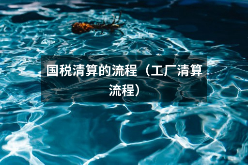 国税清算的流程（工厂清算流程）