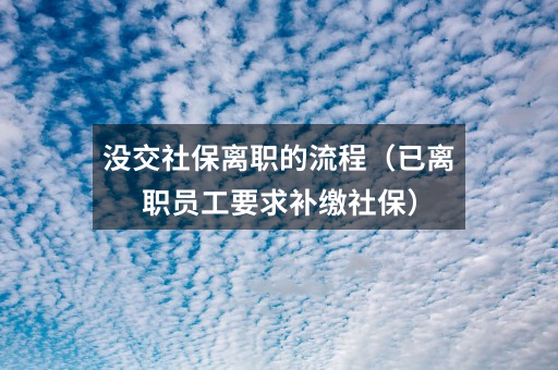 没交社保离职的流程（已离职员工要求补缴社保）