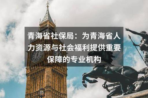 青海省社保局：为青海省人力资源与社会福利提供重要保障的专业机构