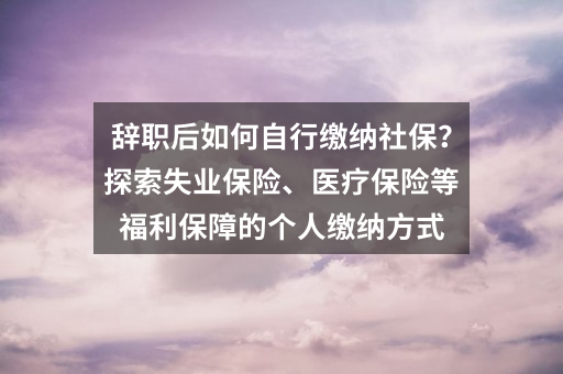 辞职后如何自行缴纳社保？探索失业保险、医疗保险等福利保障的个人缴纳方式