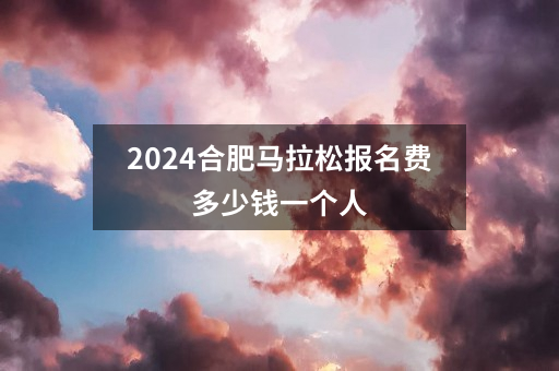 2024合肥马拉松报名费多少钱一个人